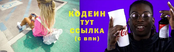 индика Нефтекумск