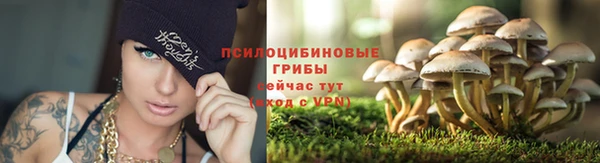 прущий лед Нефтегорск