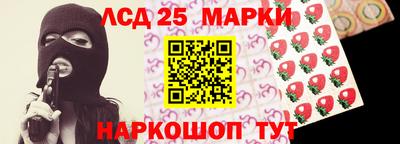 СК Обь