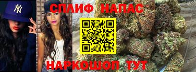 СК Обь
