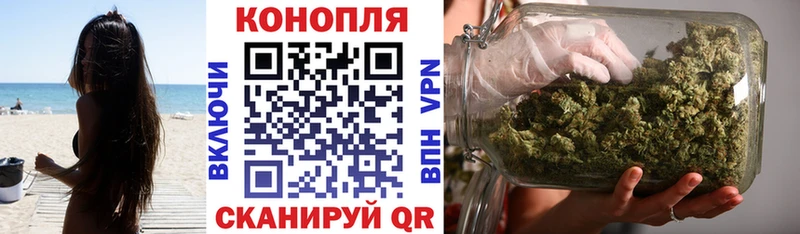 магазин    Новочебоксарск  Каннабис семена 